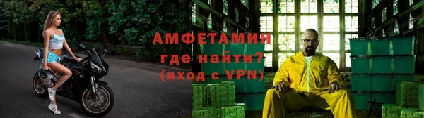 ГАЛЛЮЦИНОГЕННЫЕ ГРИБЫ Майский