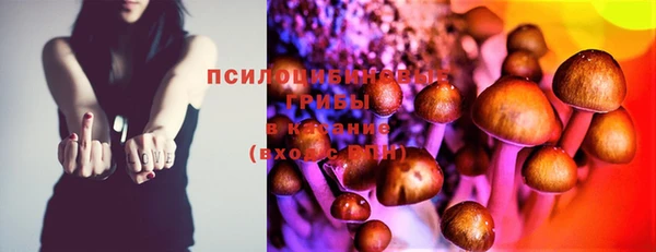 каннабис Магадан