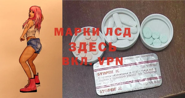 ГАЛЛЮЦИНОГЕННЫЕ ГРИБЫ Майский