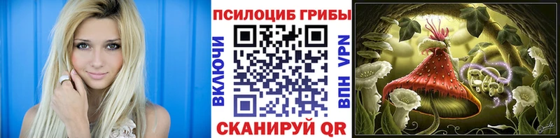Псилоцибиновые грибы прущие грибы  дарк нет официальный сайт  Одинцово  магазин продажи наркотиков 