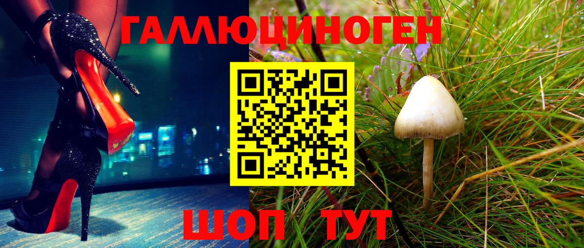 Галлюциногенные грибы MAGIC MUSHROOMS  Вход с VPN  Одинцово 