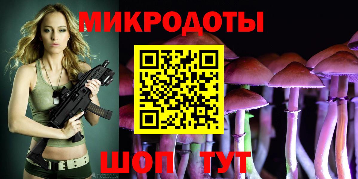 Псилоцибиновые грибы Psilocybe Одинцово